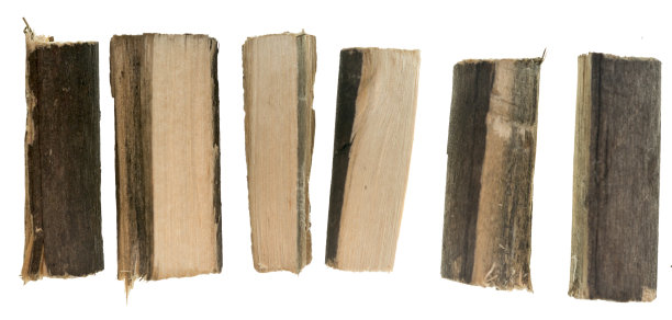 柴火在白图片下载