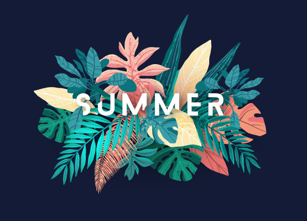 夏季热带设计横幅或传单图片下载