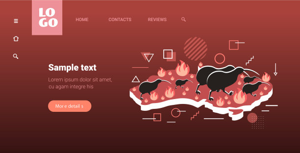 用几维鸟逃离丛林大火绘制澳大利亚地图图片下载