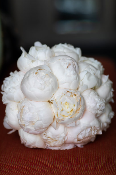 新娘的花束，特写图片下载