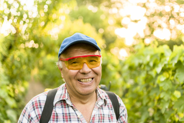 一个快乐的长者在他的葡萄园里的头像图片下载