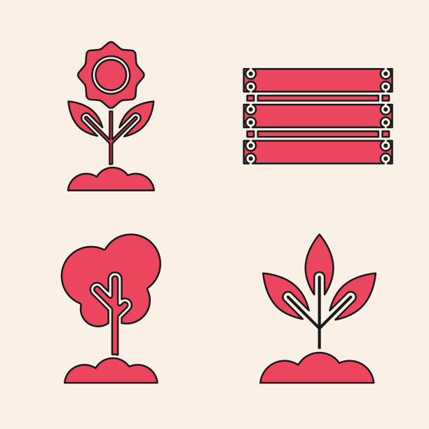 在室内设置植花木盒和树图片下载