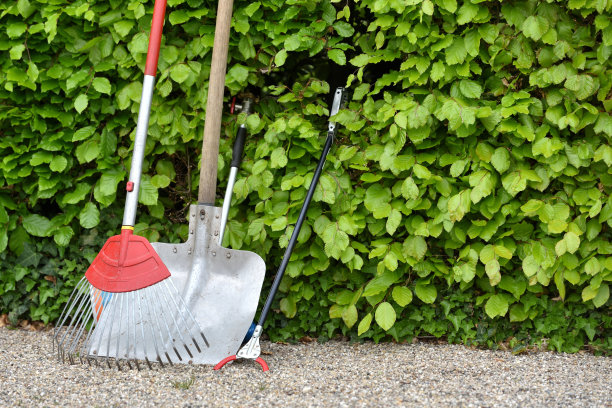 花园工具，铲子，耙子和钳子，在一个有文字空间的花园靠着篱笆。花园的工作概念图片下载