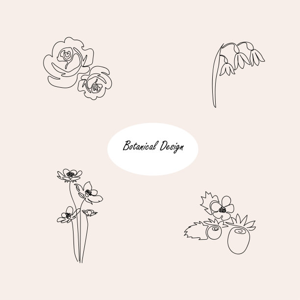 花卉女性手绘元素的婚礼和植物极简主义设计，春天和夏天的鲜花和草莓线艺术矢量插图图片下载