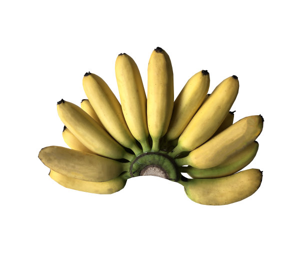 一张香蕉水果的照片，白色的背景，孤立图片下载