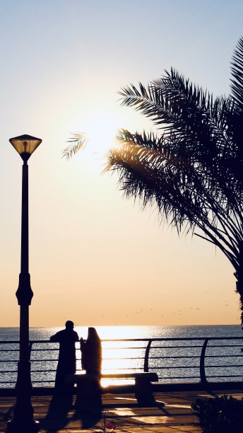 日出。图片下载