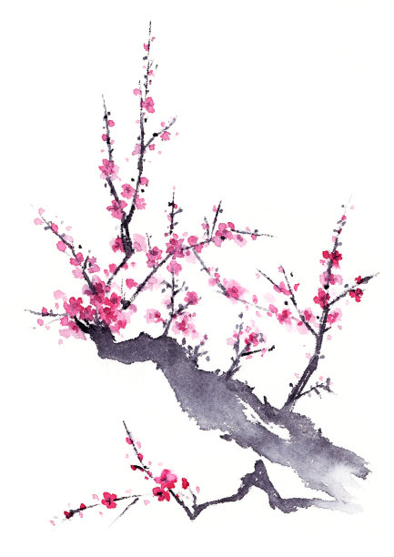 梅树水墨画。图片下载