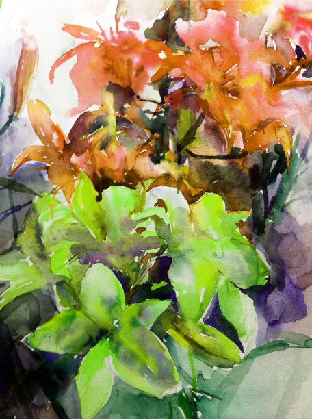 手工花卉图案。美丽温柔浪漫盛开的百合花图片下载