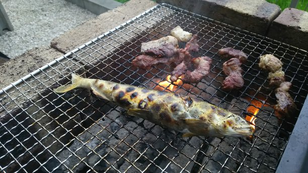 烤sweetfish图片下载