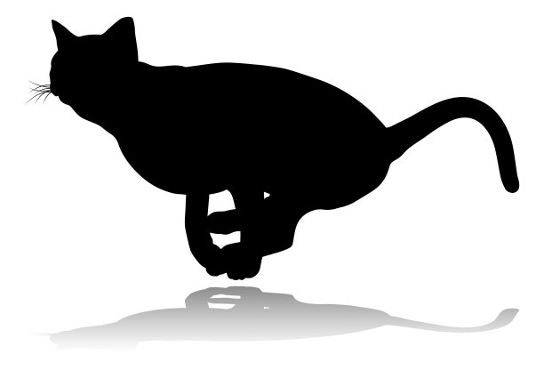 剪影猫及宠物图片下载