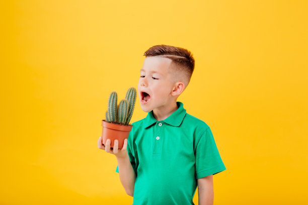 小男孩吃了一颗仙人掌，孤立在黄色的背景上图片下载