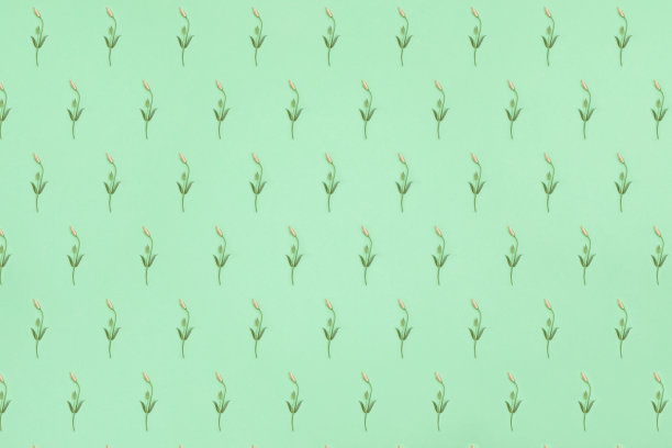 在薄荷的背景上有粉红色的口气孔花蕾的对角线图案图片下载