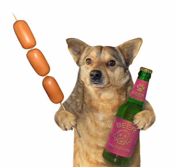 狗喜欢啤酒配香肠图片下载