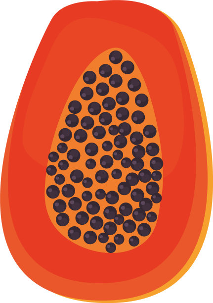 孤立番木瓜果实设计图片下载