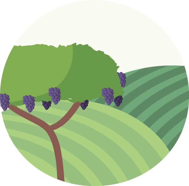 孤立葡萄树设计图片下载