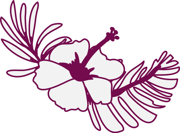 热带向日葵和奇异的花朵植物图片下载