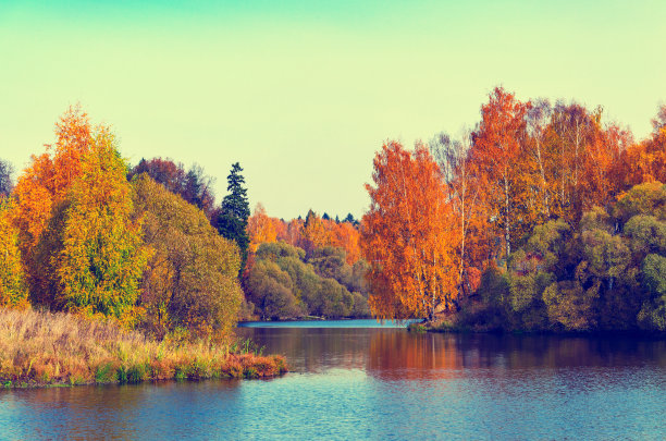 美丽的秋景与桦树反射水面图片下载