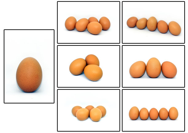 鸡蛋孤立在白色背景。剪下。图片下载