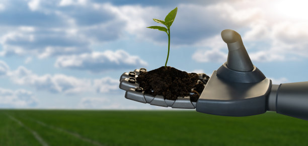 带有植物的机器人手臂图片下载