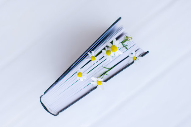 用白色雏菊花装饰的书。图片下载