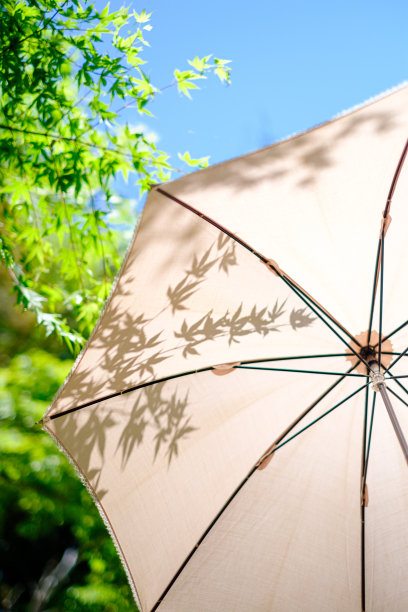 白色的阳伞在夏日的阳光下图片下载