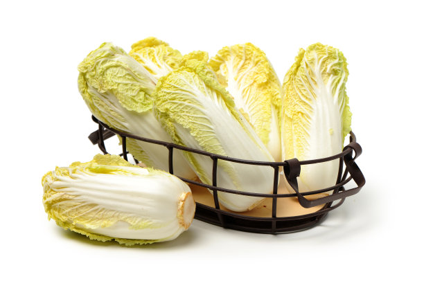 迷你天津小白菜“瓦瓦卡伊”图片下载