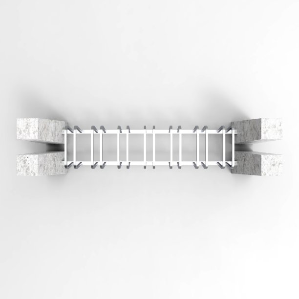 3d图像的自行车停车场Rimini俯视图图片下载