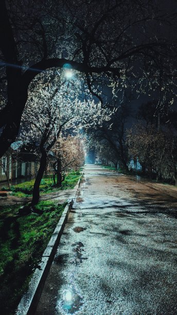 郊区的夜雨。图片下载