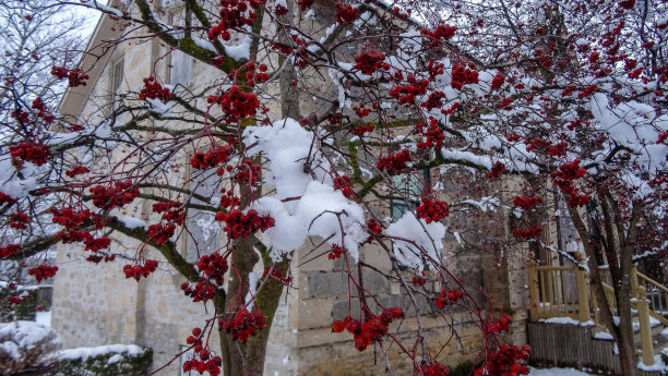 加拿大剑桥位于安大略省图片下载