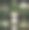 橄榄油复古复古背景收藏4图片下载