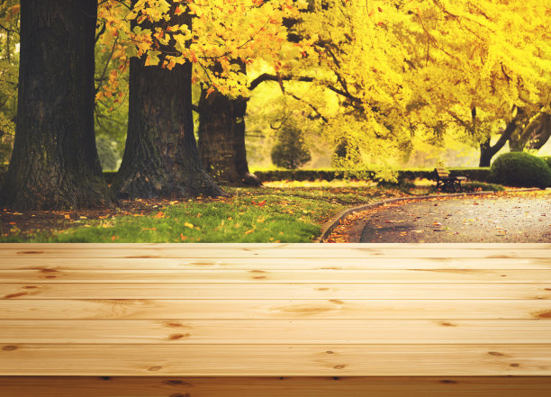 空的木制桌面产品展示蒙太奇与秋叶图片下载