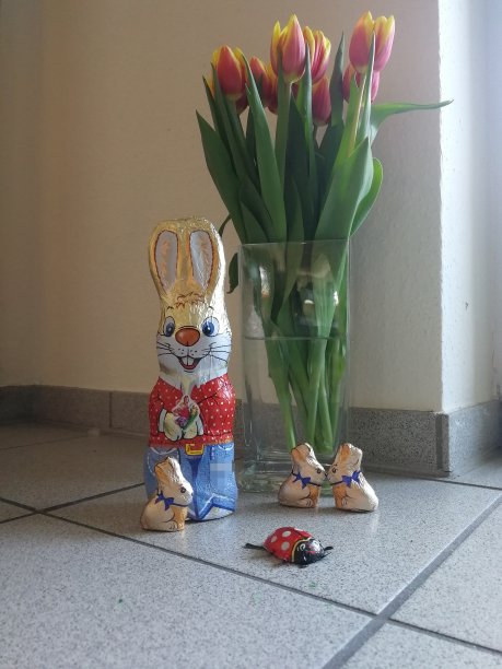 兔子family-easter图片下载