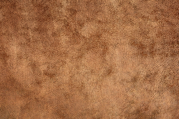 真皮纹理背景图片下载