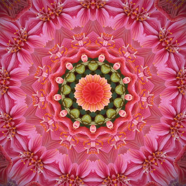 抽象万花筒花卉图案图片下载