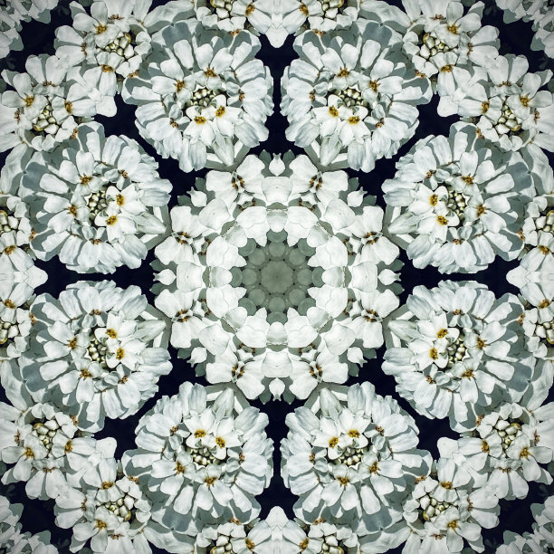 抽象万花筒花卉图案图片下载