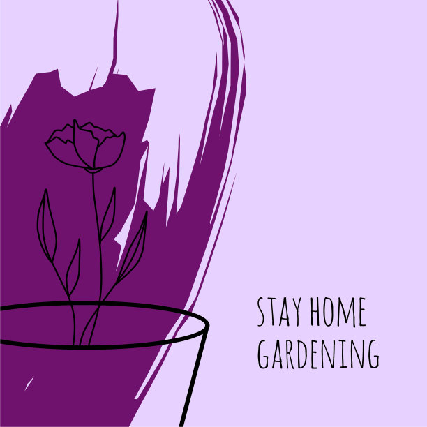 紫罗兰设置留在家里图片下载