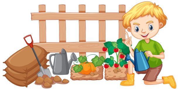 男孩在花园里浇蔬菜在白色的背景图片下载