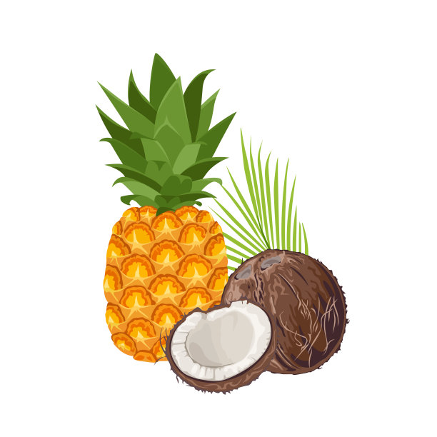 菠萝和椰子孤立在白色的背景。矢量插图的热带水果在卡通扁平风格。图片下载