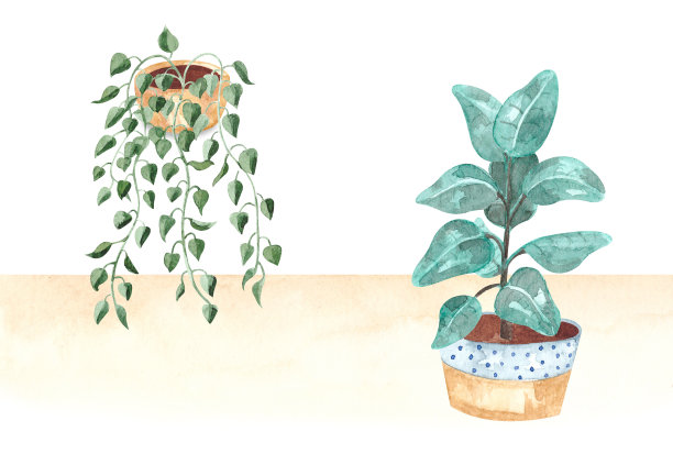水彩画与盆栽室内植物图片下载