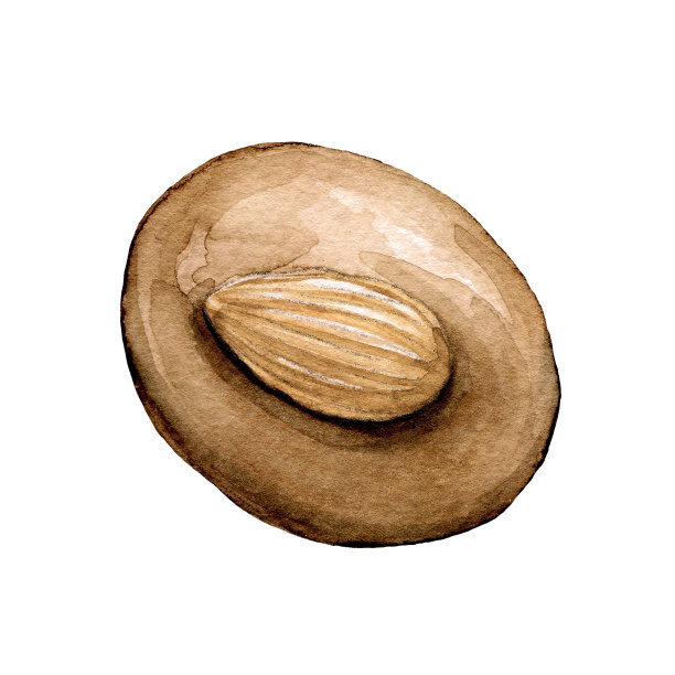 水彩杏仁巧克力糖果图片下载