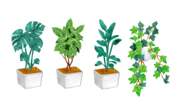 室内植物的水彩插画材料图片下载