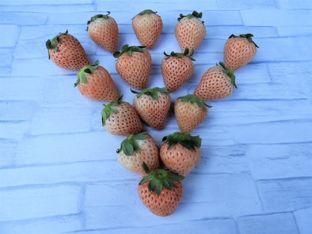 白草莓w15 3图片下载