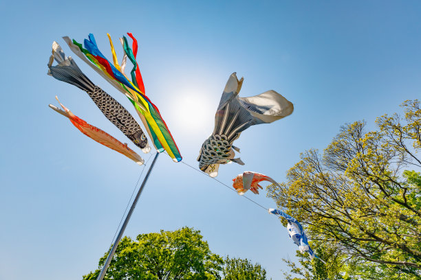 鲤鱼飘浮在空中图片下载