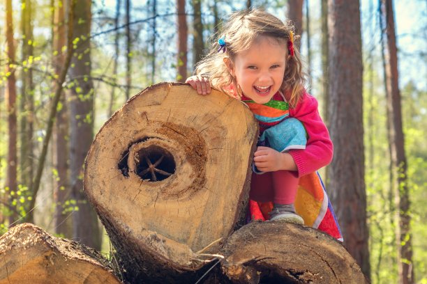 可爱的微笑的小女孩在森林的原木上图片下载