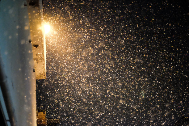 29、雪飘过，雪飘过。图片下载