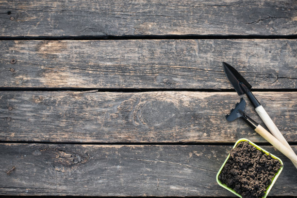 园艺。图片下载