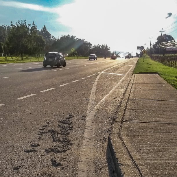 高速公路的太阳图片下载