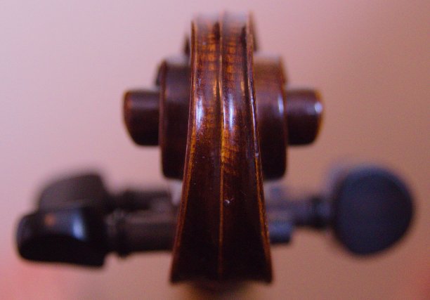 小提琴的蜗壳图片下载