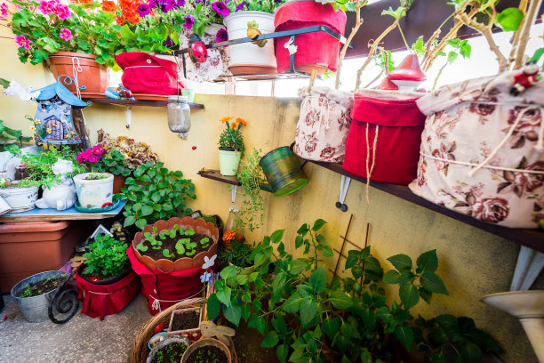 阳台上五颜六色的观赏园鲜花和装饰品图片下载
