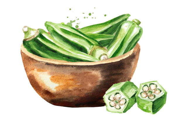 一碗新鲜的秋葵。手绘水彩插图孤立的白色背景图片下载